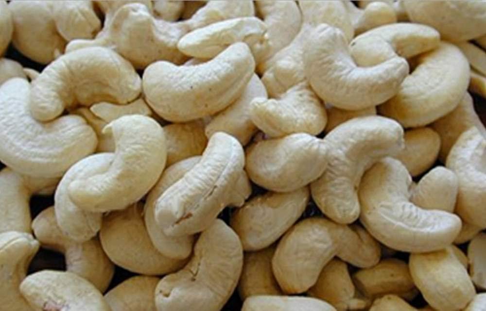 Cashew Cultivation