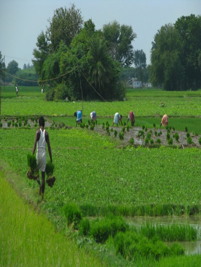 शेतकऱ्यांसाठी विविध सरकारी योजना