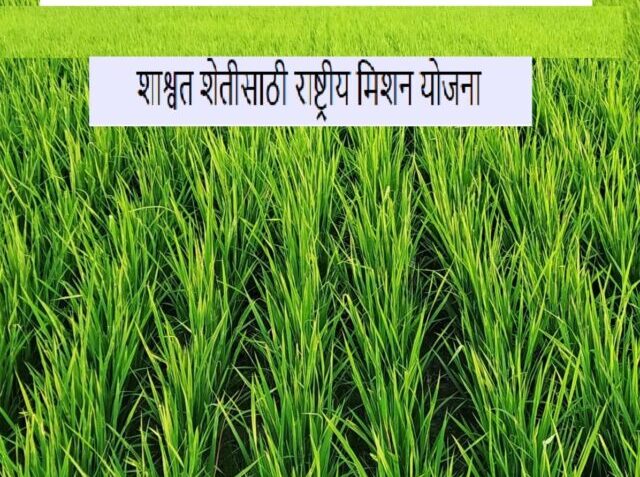 Sarkari-yojna-NMFSA