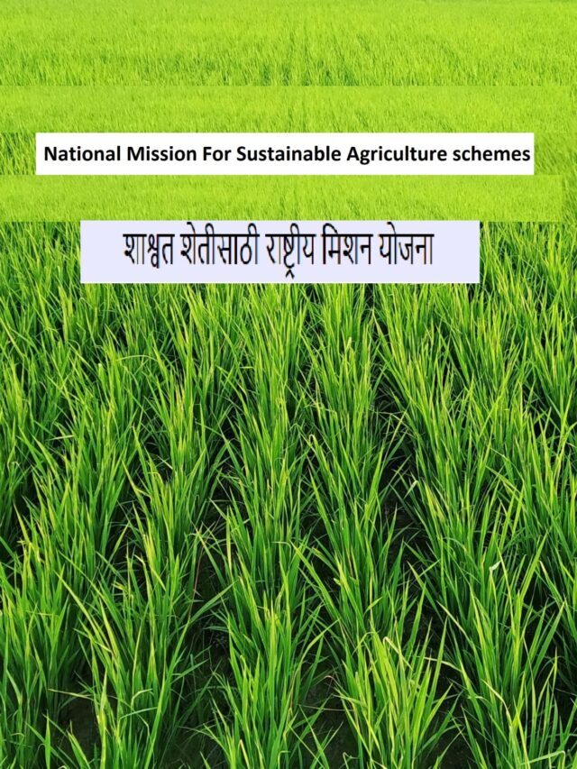 NMSA अंतर्गत शेतकऱ्यांसाठी सरकारी योजना