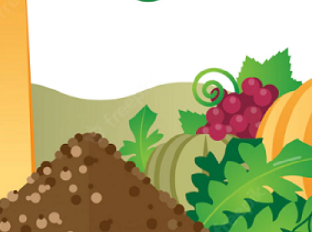 organic-fertilizer-2.1