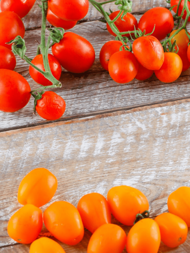 टोमॅटो लागवडीसाठी लोकप्रिय वाण | Varieties for Tomato cultivation