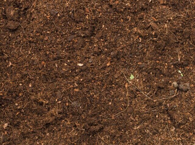 top-view-soil-min