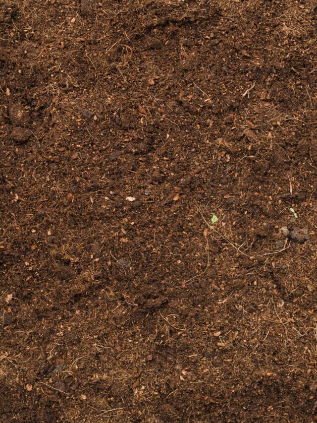 मातीचे आरोग्य कसे सुधारावे ? | How to improve soil health ?