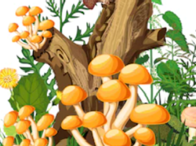 cropped-Screenshot-13.png