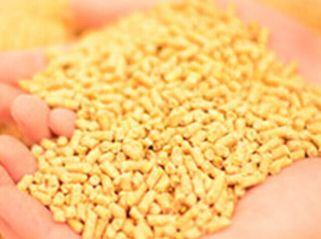 poultry-feed-production-buisness (1)