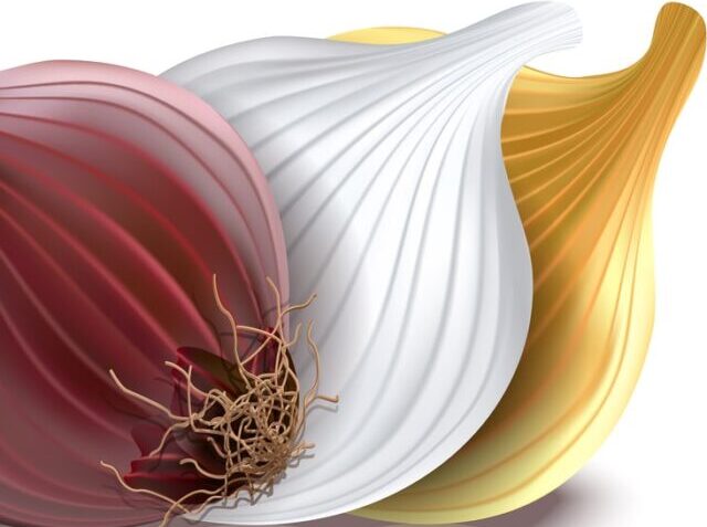 red white yellow onion-min
