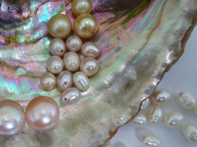1200px-Shell_and_pearls