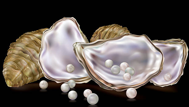 oysters shells with pearls on a black background