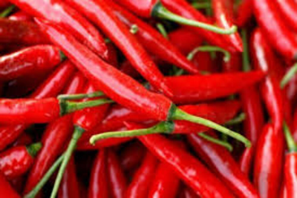 mirchi sheti