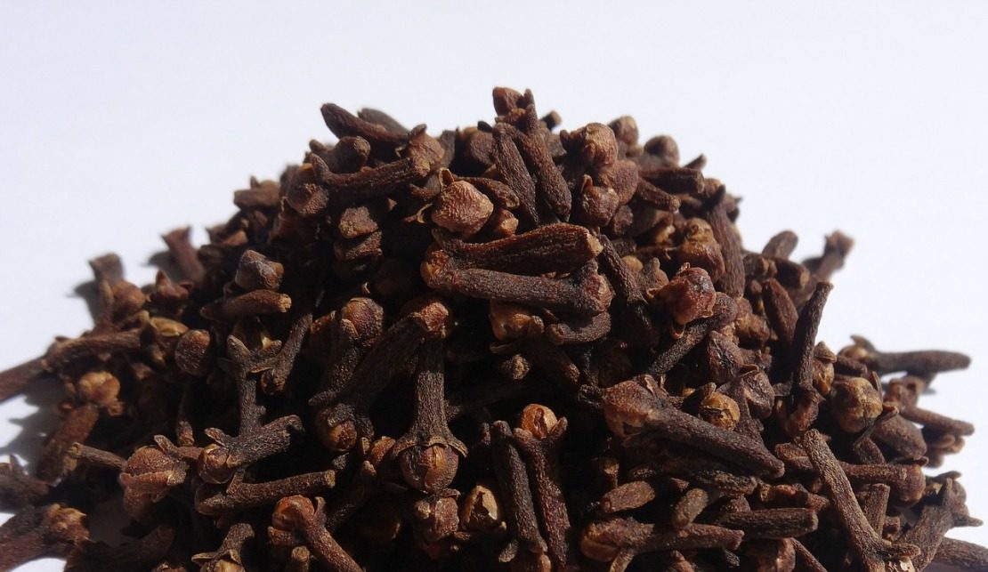 cloves cultivation