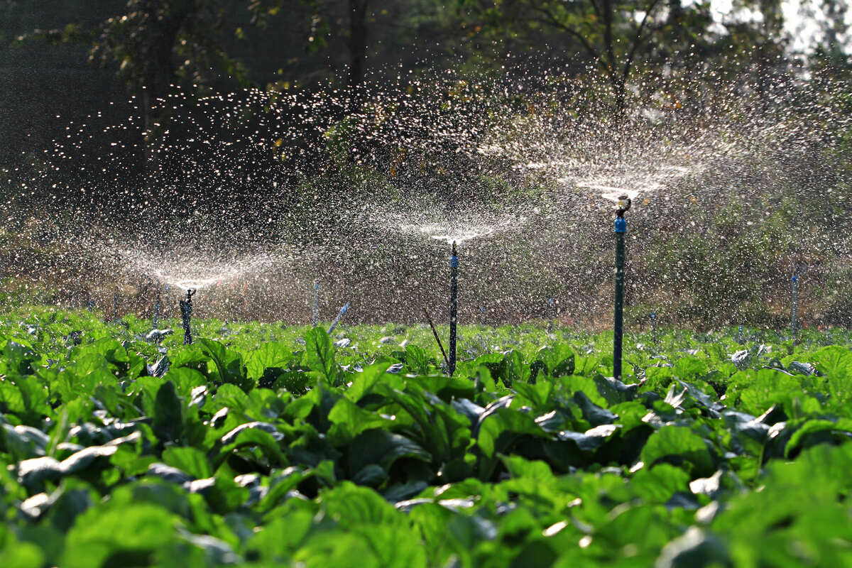 Smart Water Management System