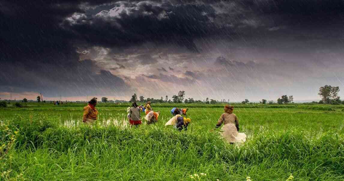 crop insurance pmfby
