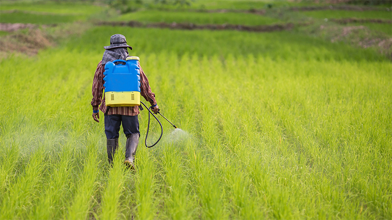 Modern farming